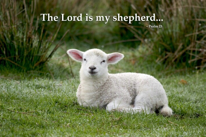 The Lord is My Shepherd - ID: 654112 © Jim Miotke