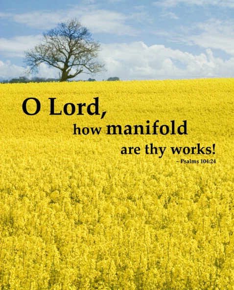 How Manifold Are Thy Works