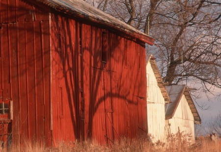 barns