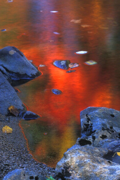 TR-027 River Reflections #1 - ID: 660744 © Kristina Morgan
