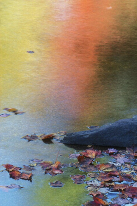 TR-028 River Reflections #2 - ID: 660745 © Kristina Morgan
