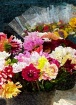 Potting