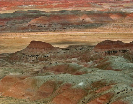 Petrified Forest in Arizona #2