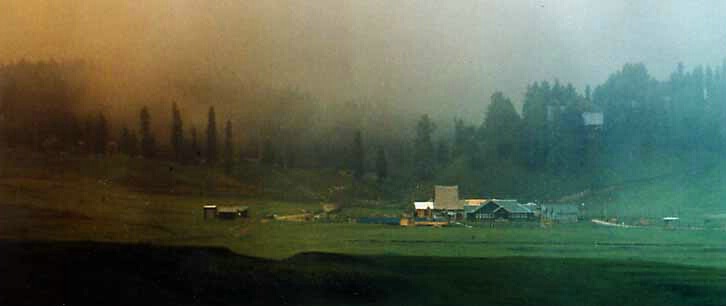 Misty Gulmarg, Kashmir