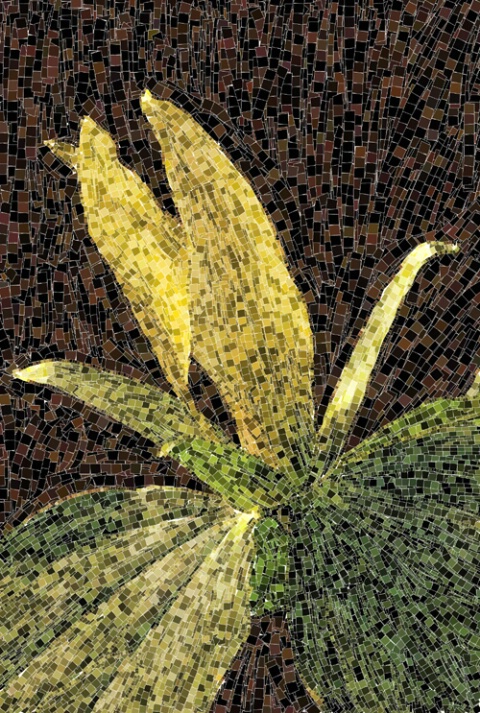 Yellow Trillium Mosaic