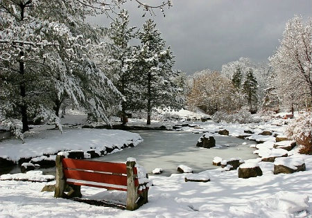 Winter Pond