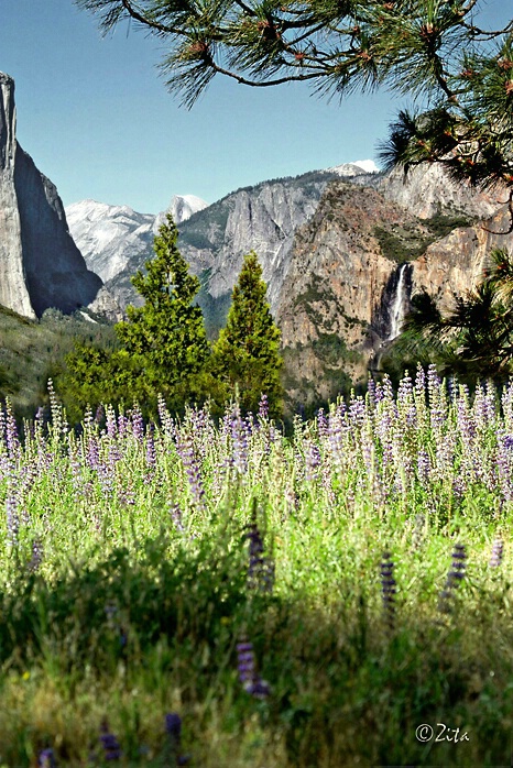 Yosemite in Spring - ID: 751811 © Zita A. Strother