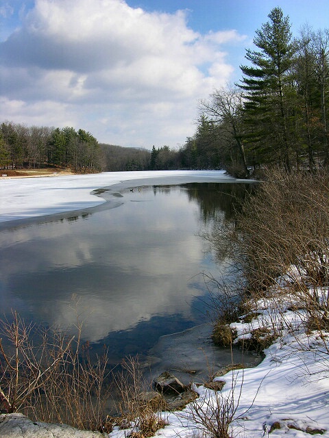 Late Winter Wonderland