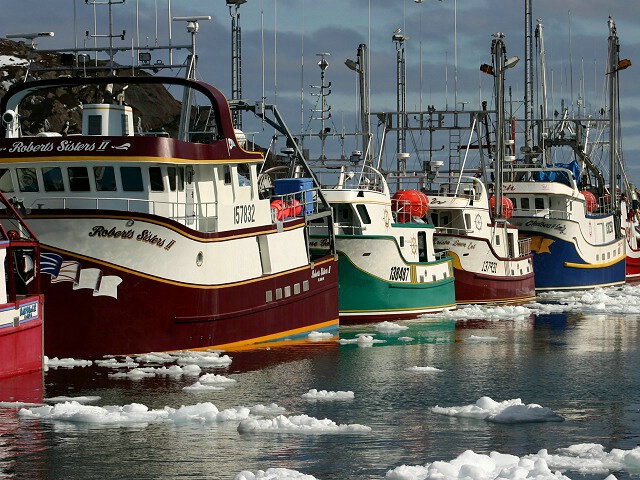 Colourful Boats