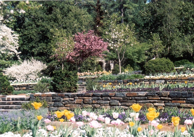 Duke Gardens photo