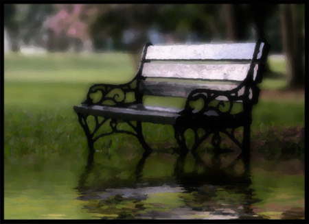 The Park Bench