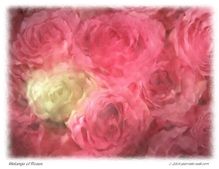 Melange of Roses
