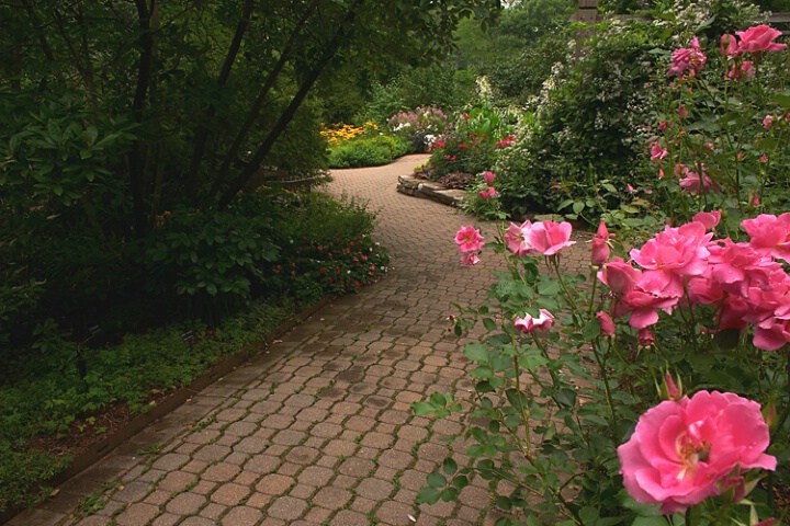 Garden Path - Leading Line