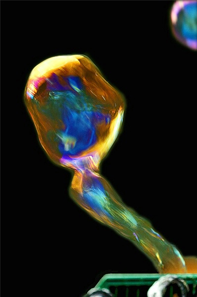 A Bubble is Born - ID: 514182 © John D. Jones