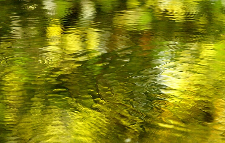 Nature Expressing Form