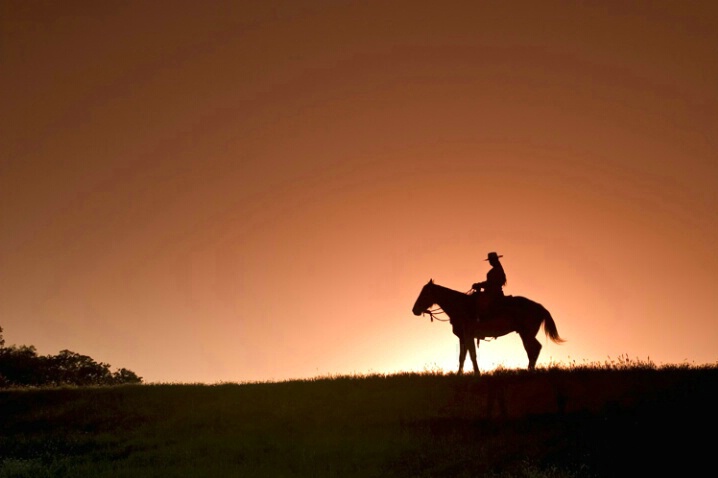 Silhouetted Cowgirl One
