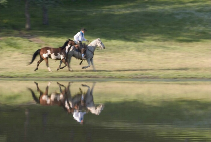 Cowboy Leading Horse With Reflection - ID: 538240 © Jim Miotke