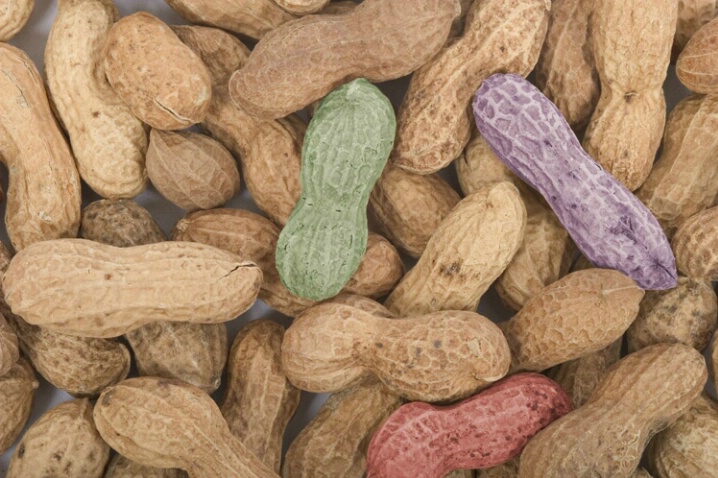 Peanuts Colorized