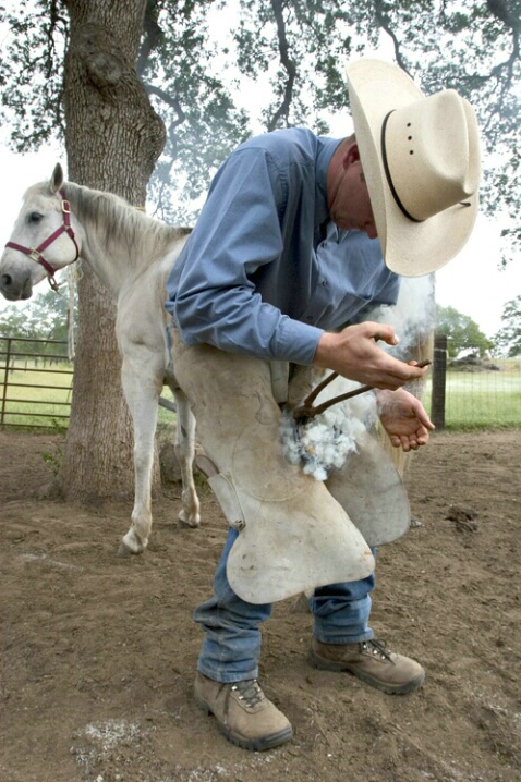 Hot Shoe, White Horse - ID: 538304 © Jim Miotke