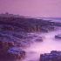 © Jim Miotke PhotoID # 538329: Purple Dunstanburgh Mist