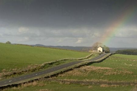 The Road to the Rainbow