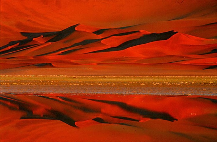 Reflections of the Namib