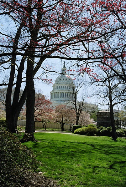 US Capitol in April