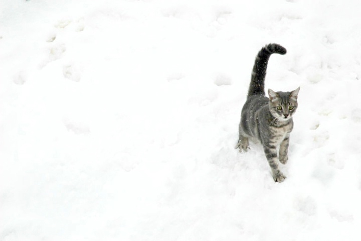 his first snow