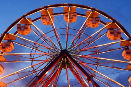 at the fair