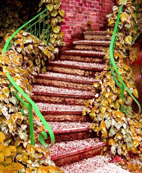 sapanca stairway