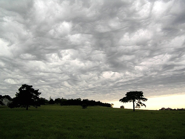 Approaching Storm