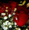Wrap Up Some Red ...