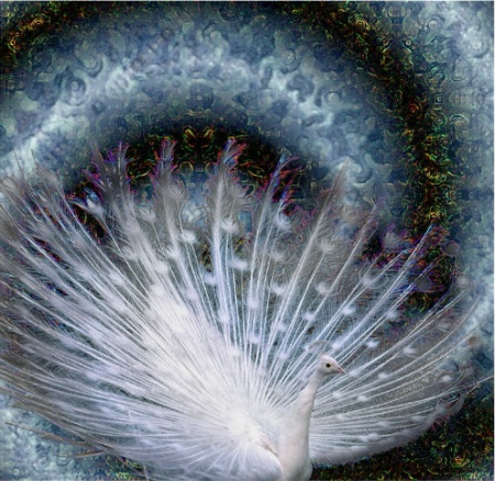 Cosmic Peacock