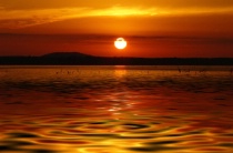 Nature/Landscapes