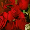 Fiery Red Roses