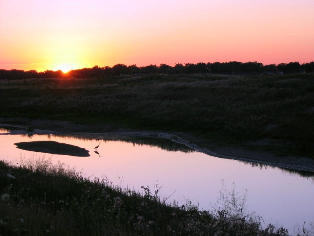 Sunset with Blue Heron