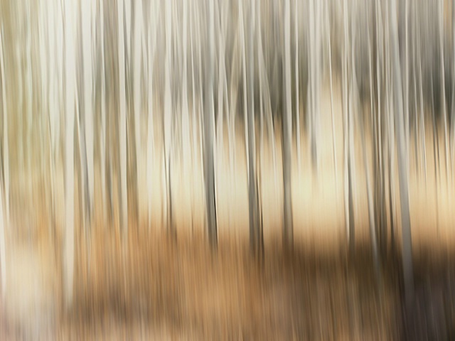 aspen abstract