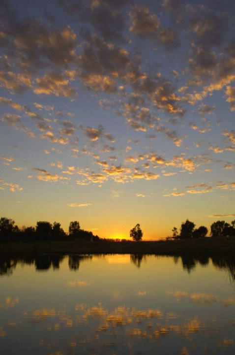 Pond Reflection