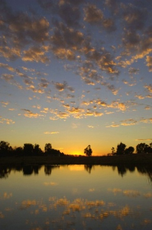 Pond Reflection