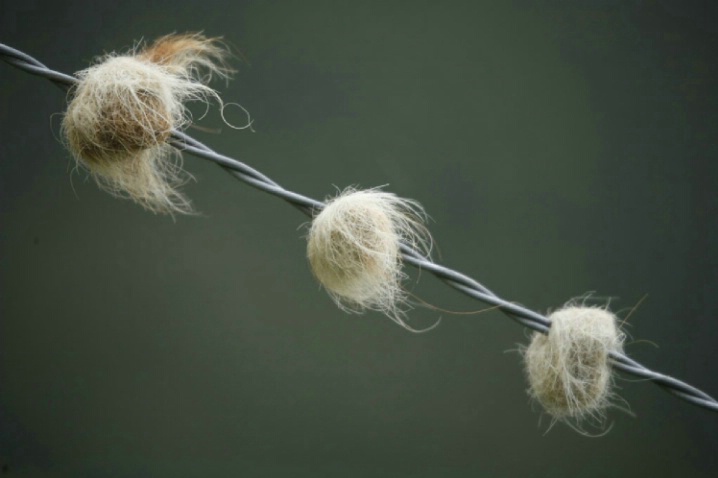 Wool on Wire
