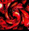 Swirling Leaves