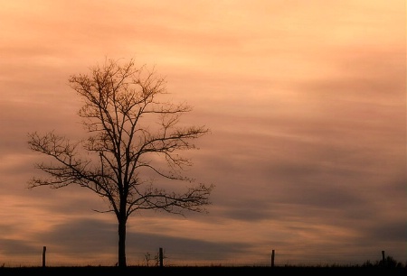 An Evening Alone