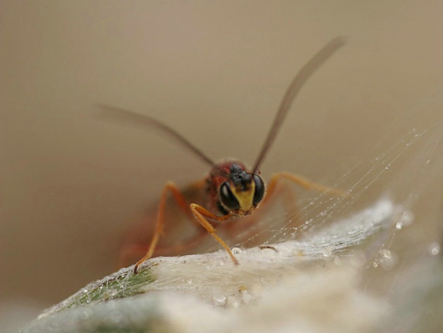 OR1112 - ID: 1671543 © Kristina Morgan