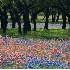 © Kristina Morgan PhotoID# 1672875: TX1934