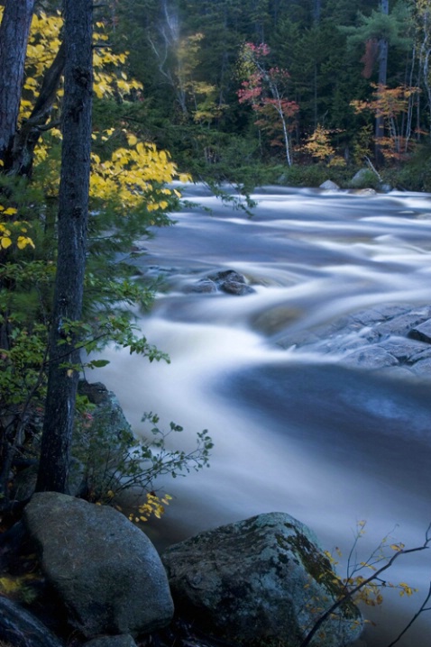 NH05-Swift River - ID: 1723124 © Kristina Morgan