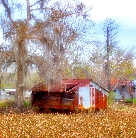Swamp House 1 - ID: 1750963 © Kathleen K. Parker