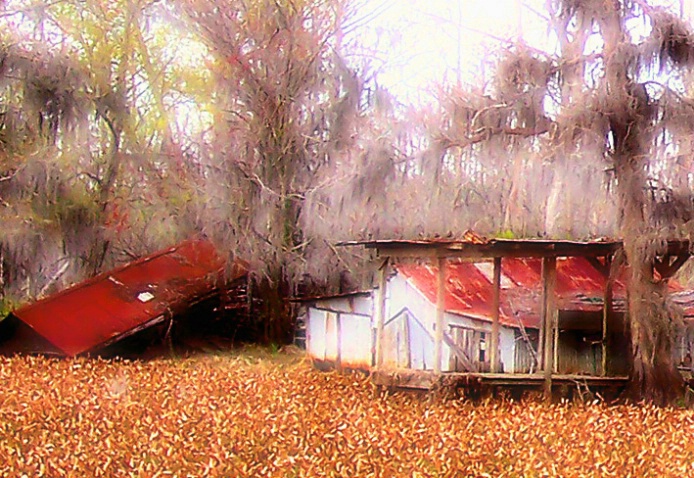 Swamp House 2 - ID: 1752983 © Kathleen K. Parker