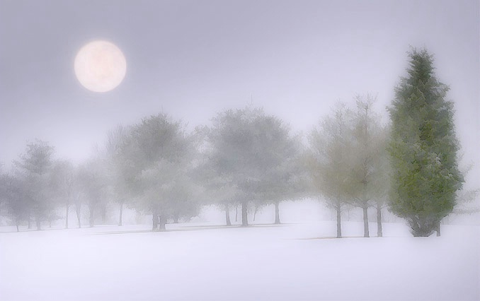 The Snow Moon