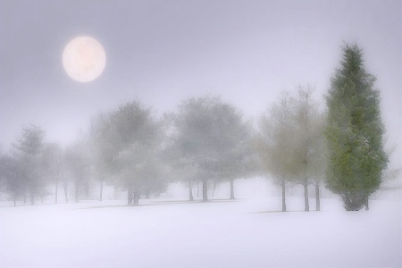 The Snow Moon