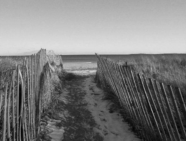 Beach Path